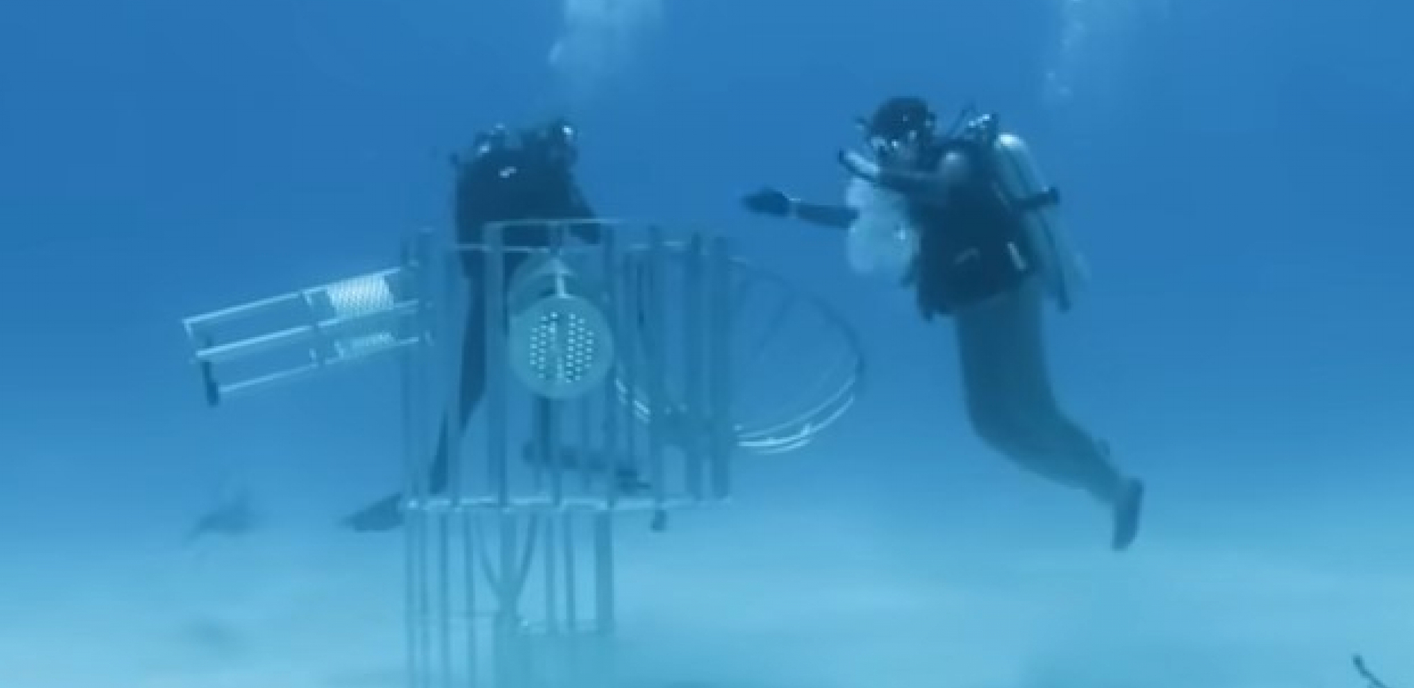 ronilac testira ajkule