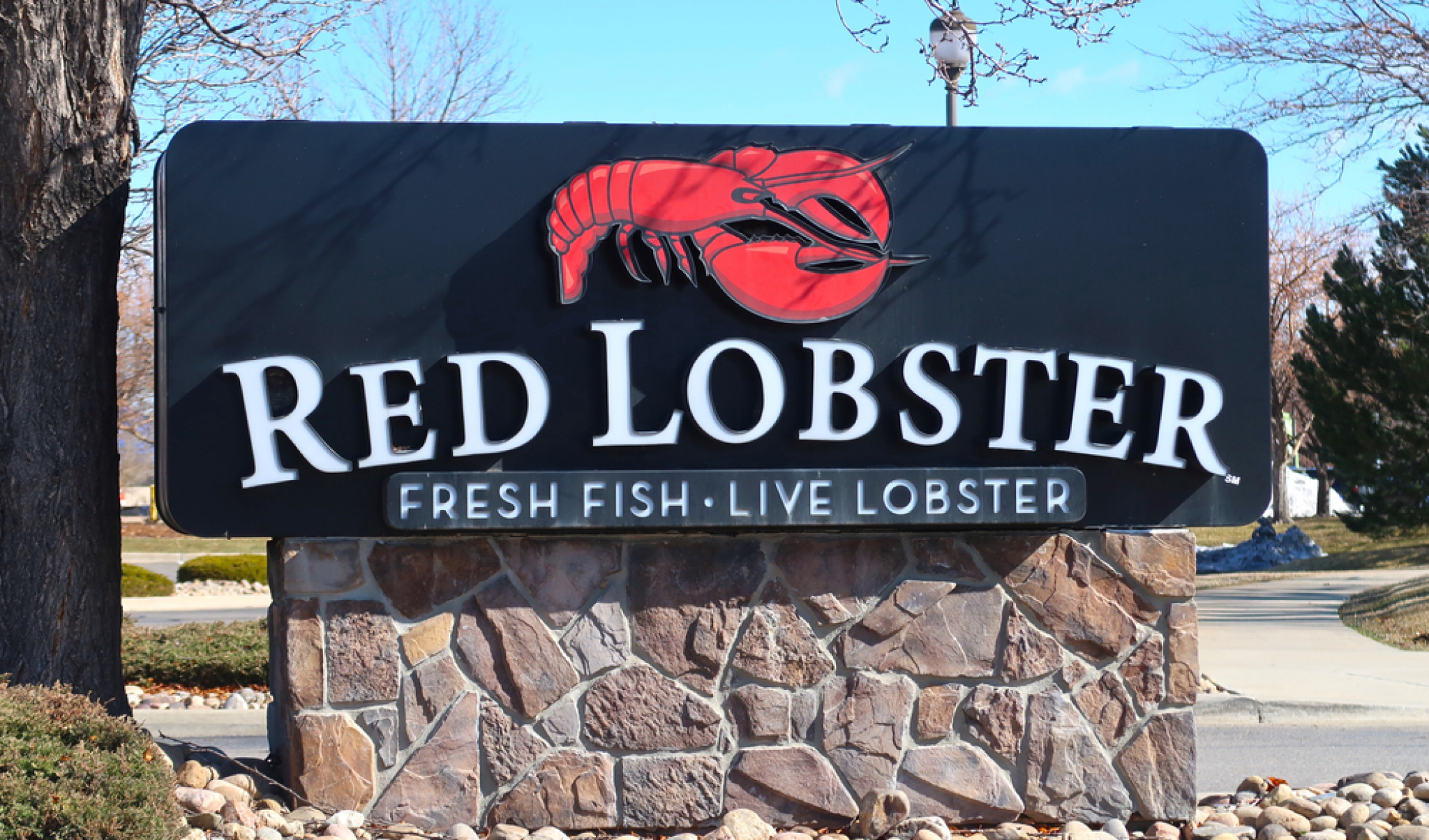 Red lobster