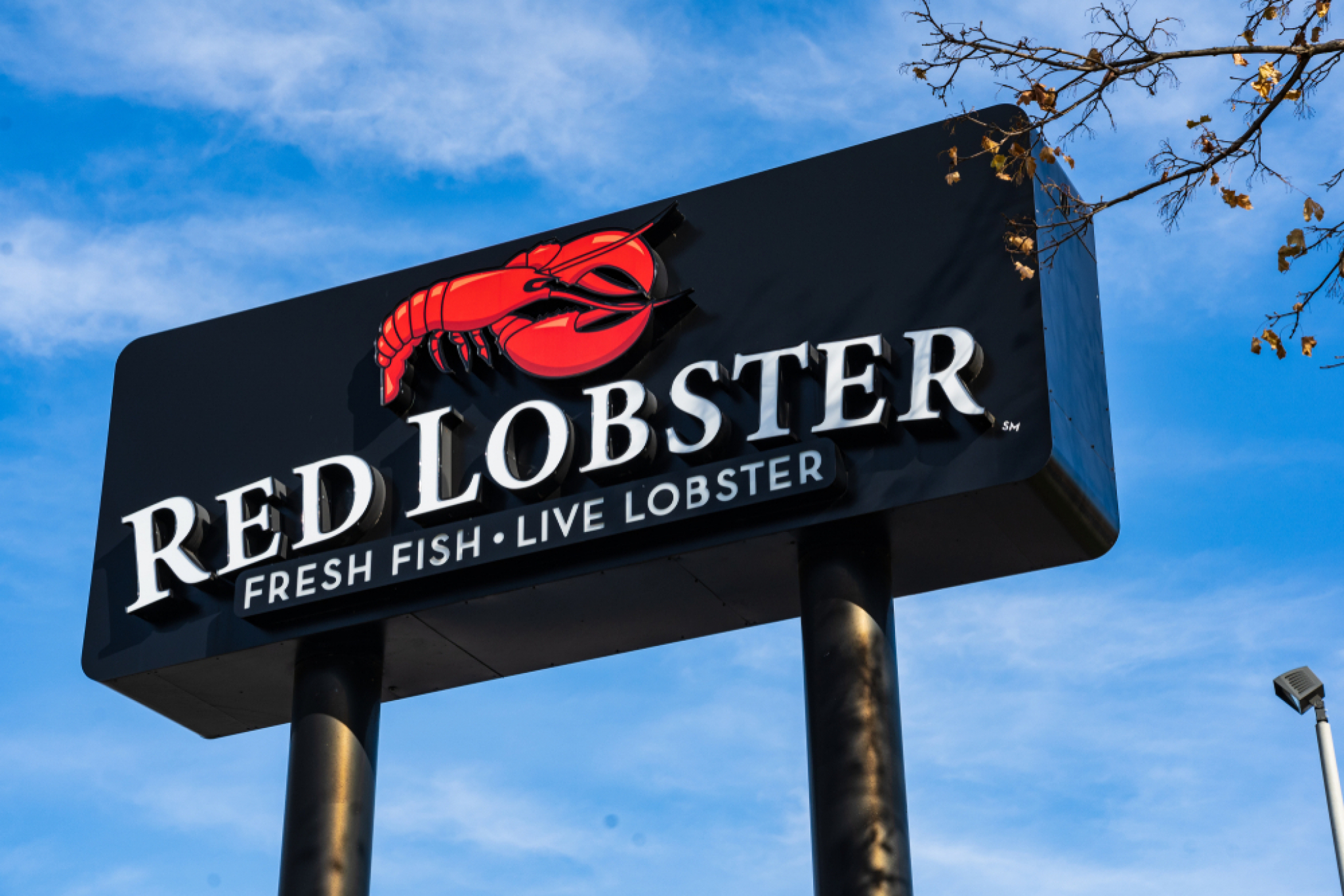 Red lobster