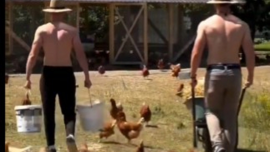 farmeri iz Bijeljine