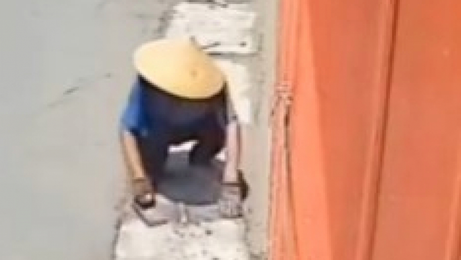 pas šeta po malteru