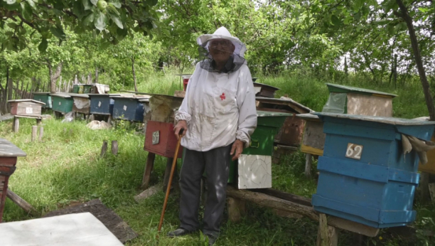 najstariji pčelar u Srbiji