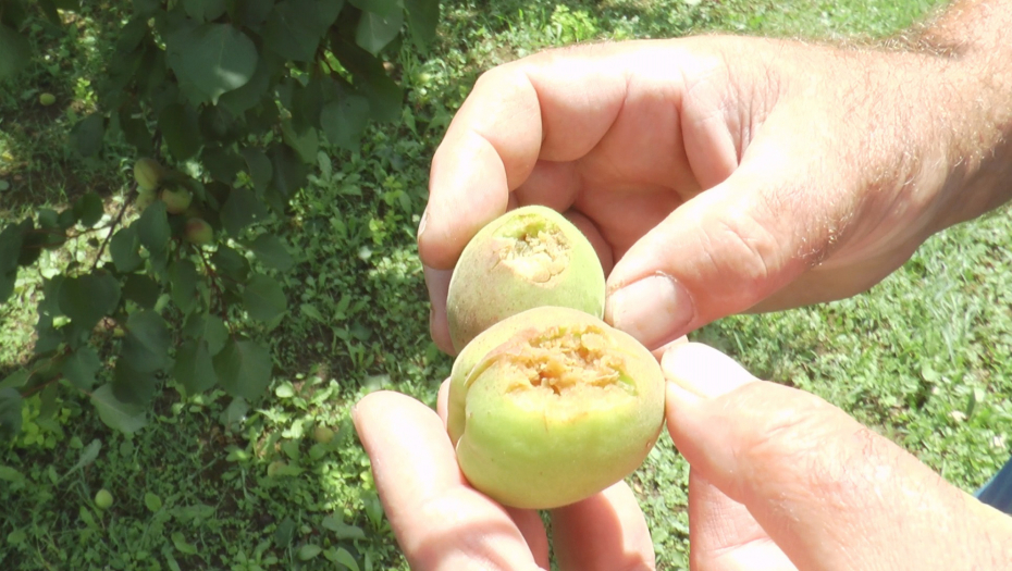 Teško nevreme pogodilo šumadijska sela