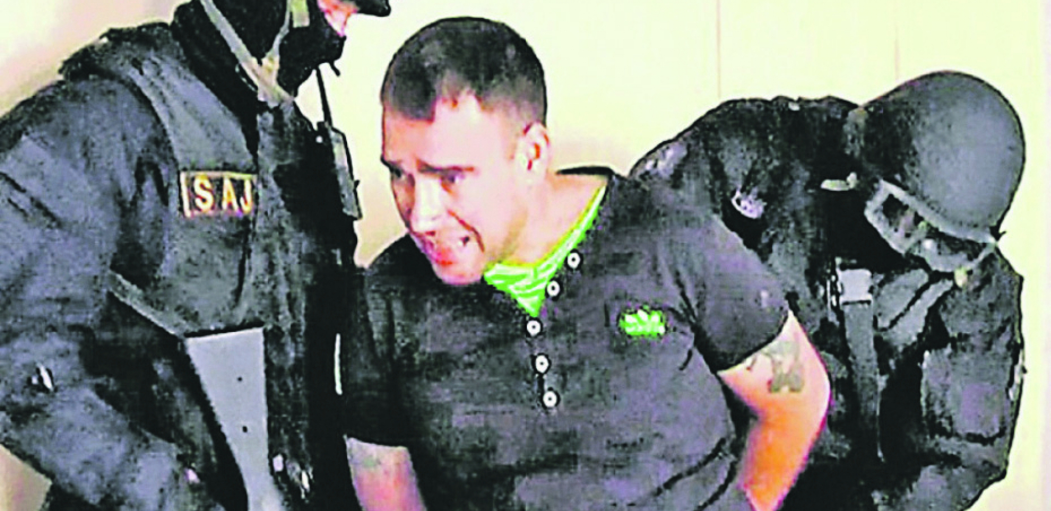 saša cvetanović pitbul