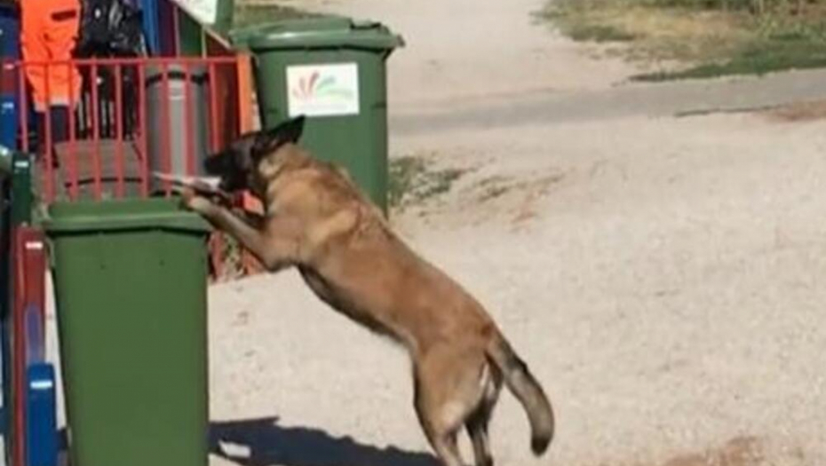Hajdi malinoa iz niša baca smeće u kantu
