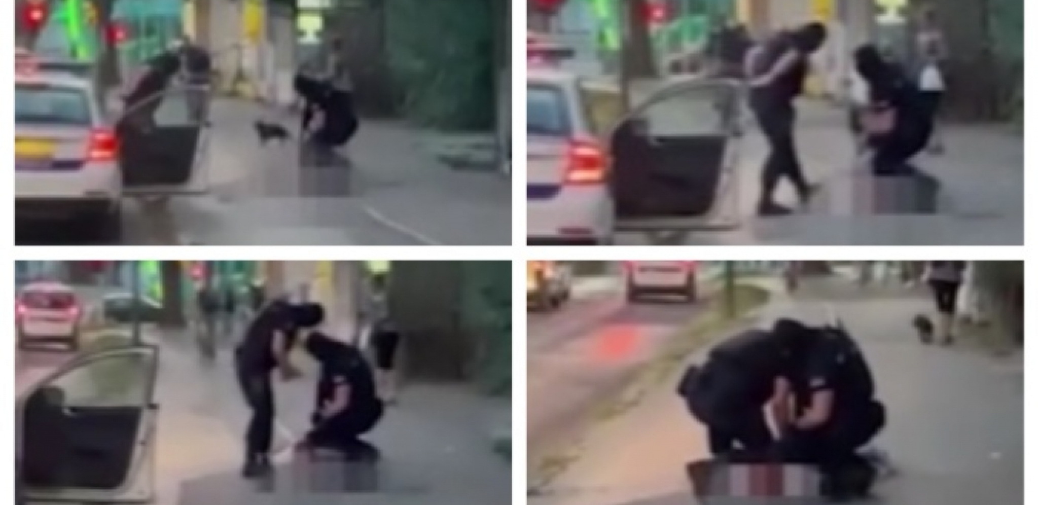 Hapšenje u Subotici