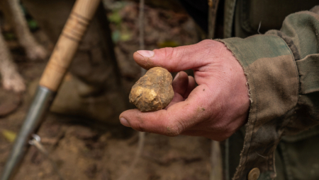Poznanici braće Dejana E. i Nebojše E. kažu da znaju da su oni sa braćom Jeličić bili u sukobu nekoliko godina