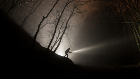 Čovek koji je tokom šetnje šumom naišao na bizarno otkriće, obratio se društvenim mrežama u pokušaju da pronađe objašnjenje.