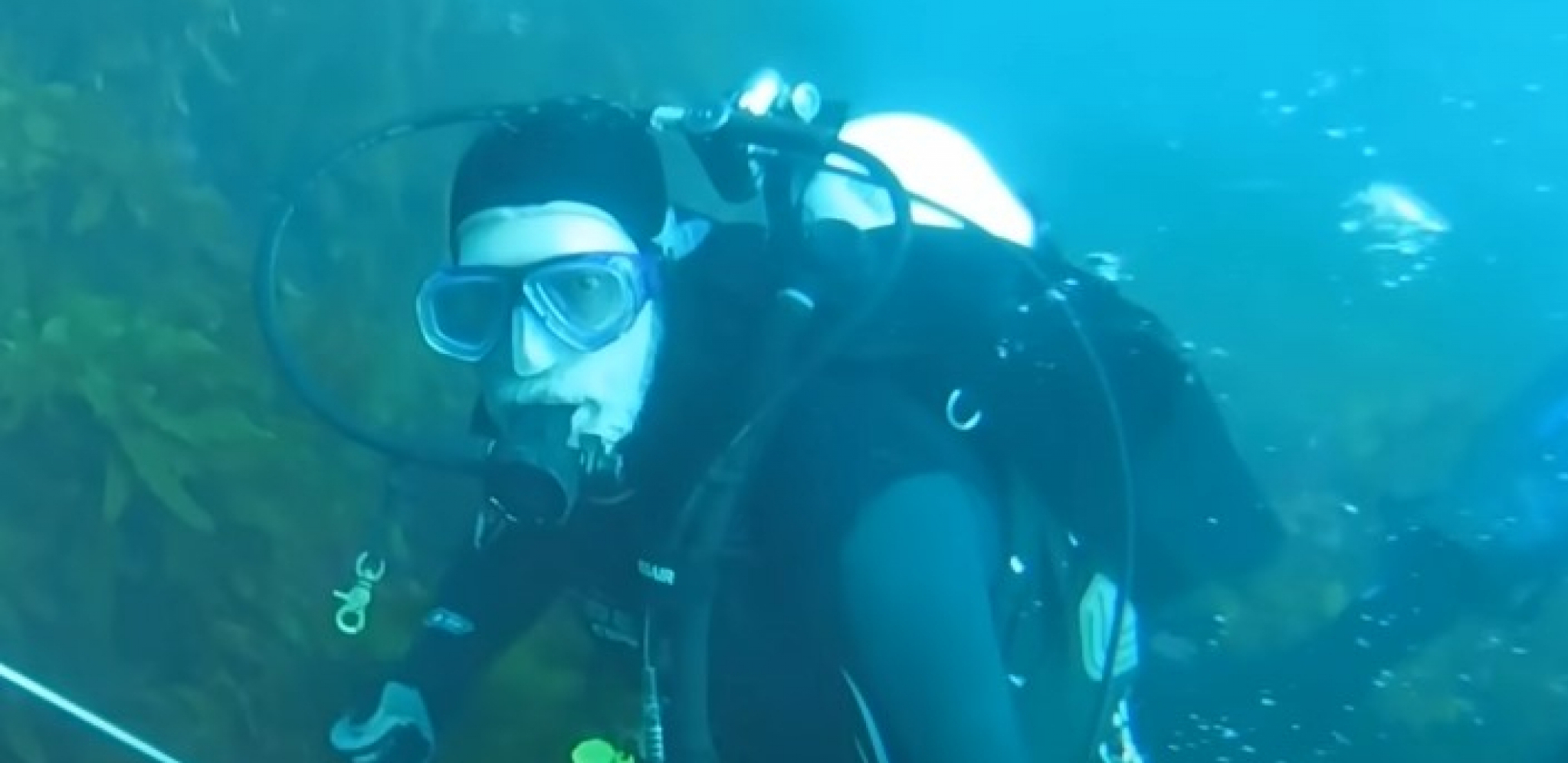 ronilac video ajkulu