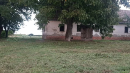 Mića je pazario imanje na jednoj od naših najlepših planina