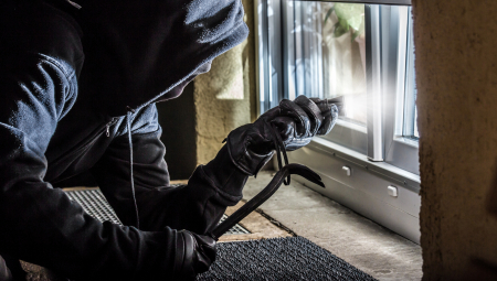 Braća su uvek uspevala da se izvuku sa manjim kaznama jer su mnoga dela počinili kao maloletnici a niškoj policiji su godinama zadavali glavobolju. Vrhunac njihovih podviga dogodio se pre 15 godina kada su se nakon pljačke zabarikadirali u jednom stanu i na policiju i Žandarmeriju kroz prozor bacili frižider