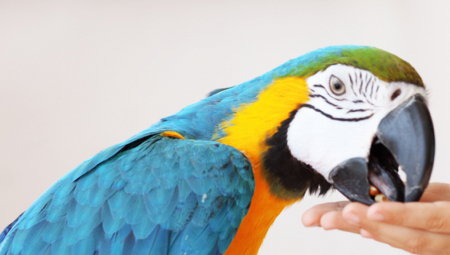 Započnite jutro nasmejani uz Alo vic dana