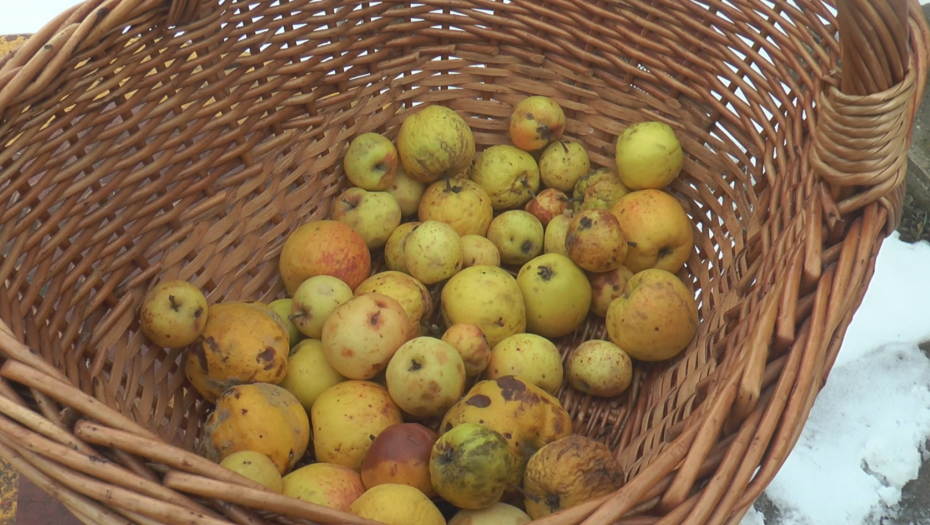 Predrag Simić sa bakom pravi vodnjiku