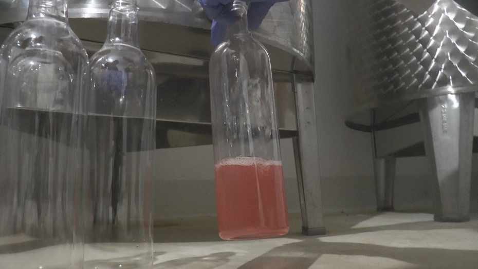 Predrag Simić sa bakom pravi vodnjiku