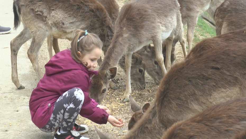 Selo Olimje najlepše u Evropi