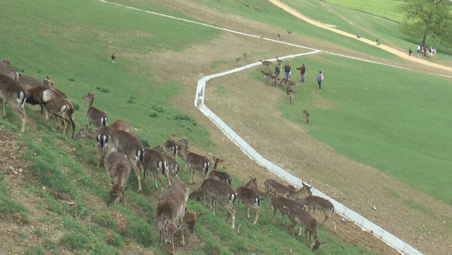 Selo Olimje najlepše u Evropi