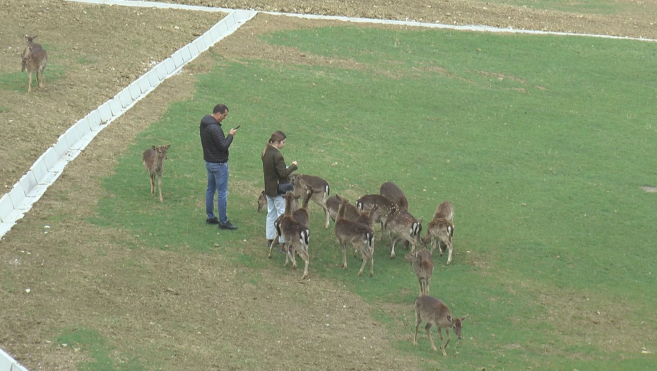 Selo Olimje najlepše u Evropi