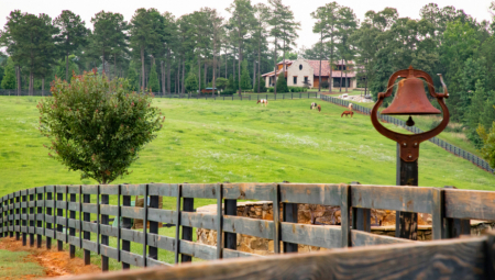 Jeftine kuće u Srbiji su u poslednje vreme sve traženije, a Kurir je na oglasima pronašao nekretnine u ruralnim sredinama koje se prodaju do 20.000 evra