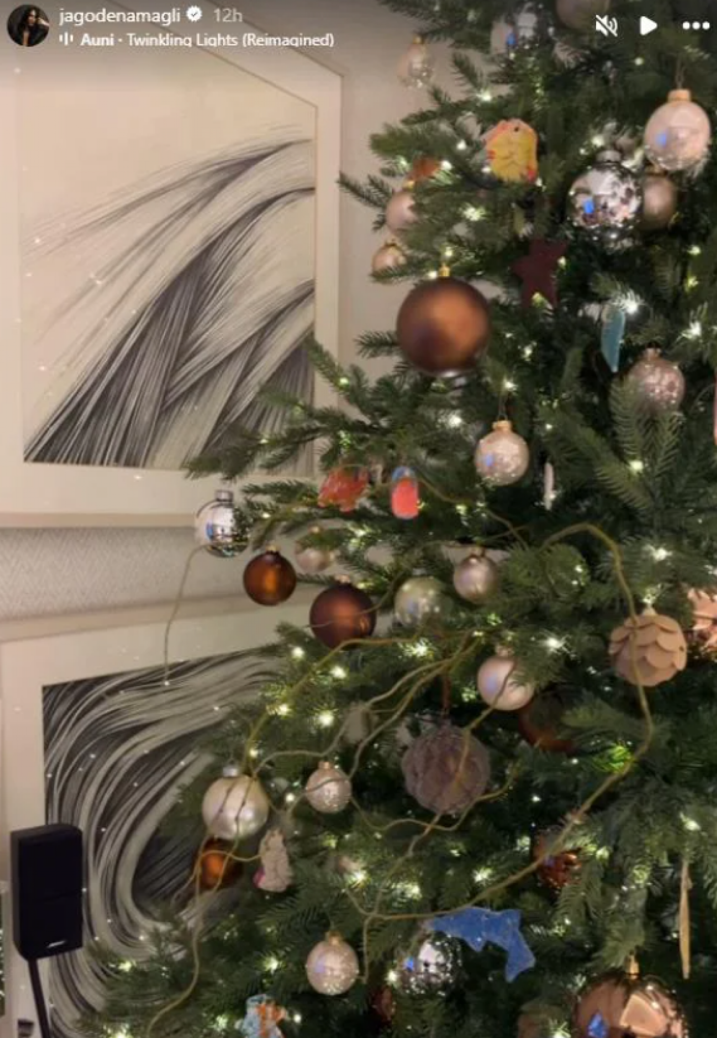 jelisaveta orašanin