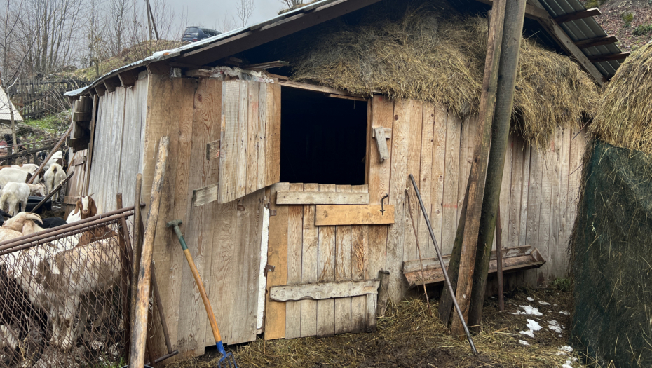 Ruskinja živi sa porodicom u selu Stabna