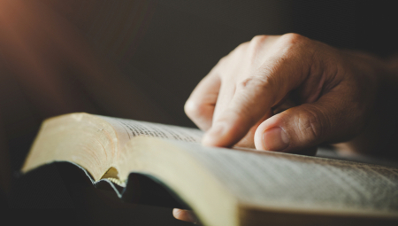 Navikli smo da učimo o pozajmljenicama u srpskom jeziku – rečima koje smo preuzeli iz drugih jezika i kultura