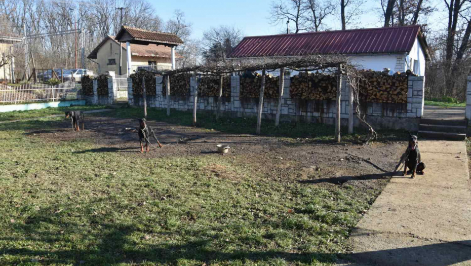 zlostavljanje životinja