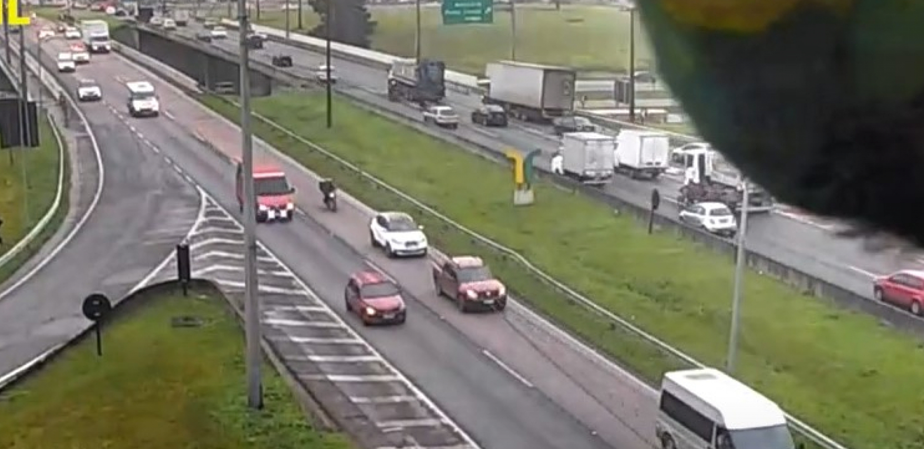 papagaj na auto putu