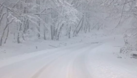 Italiju je pogodio zimski talas uz snežne padavine na niskim nadmorskim visinama i meteorološka upozorenja širom zemlje.