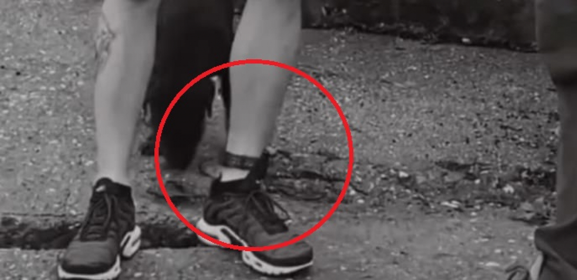 nikola stanković pivce