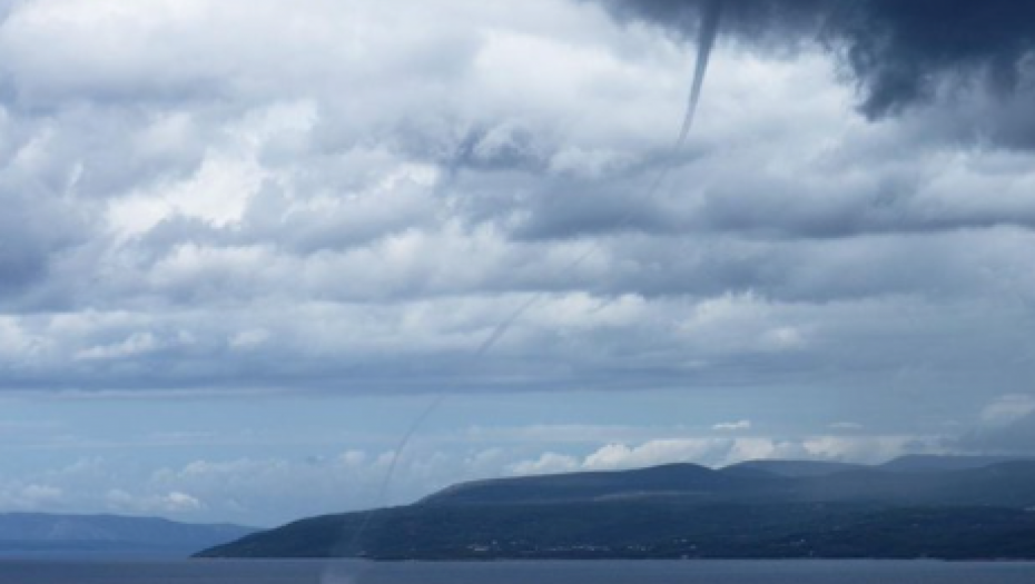 Pijavica u Novigradu