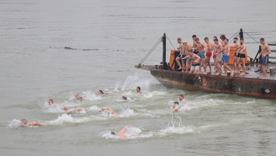 Plivanje za Časni krst. Kraljevski Red Vitezova