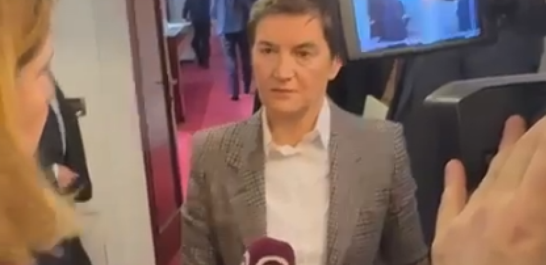 Ana Brnabić