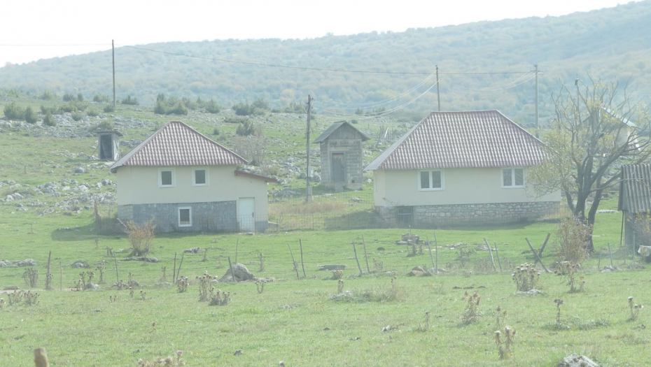 Šuma Gutavica kod Sjenice