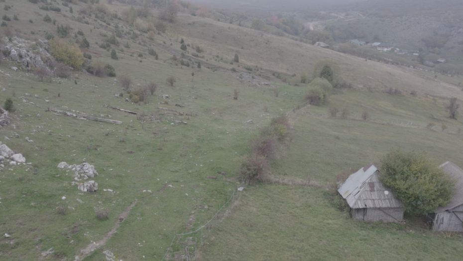 Šuma Gutavica kod Sjenice