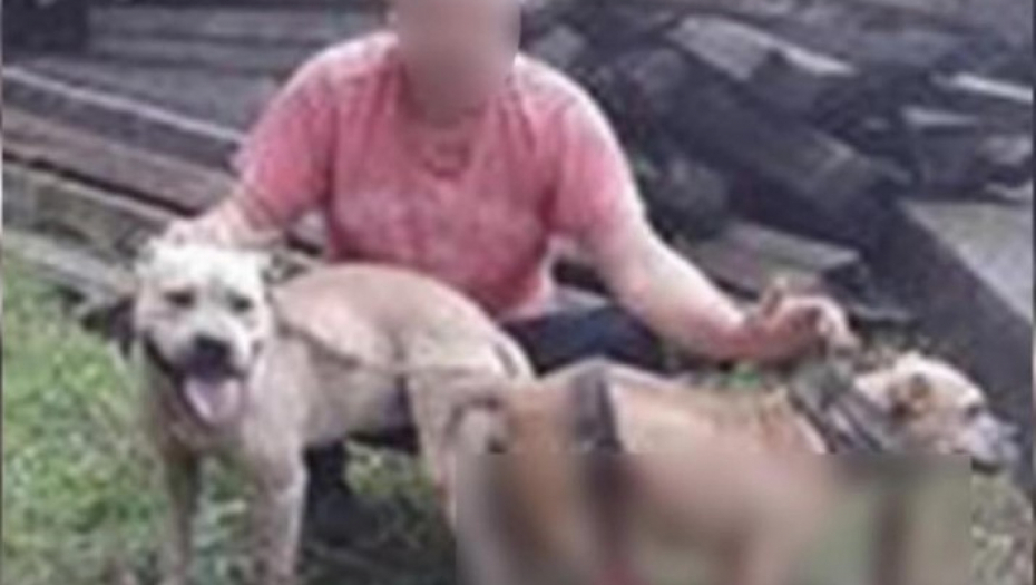 zlostavljanje životinja