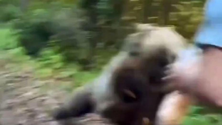 muškarac hrani medveda