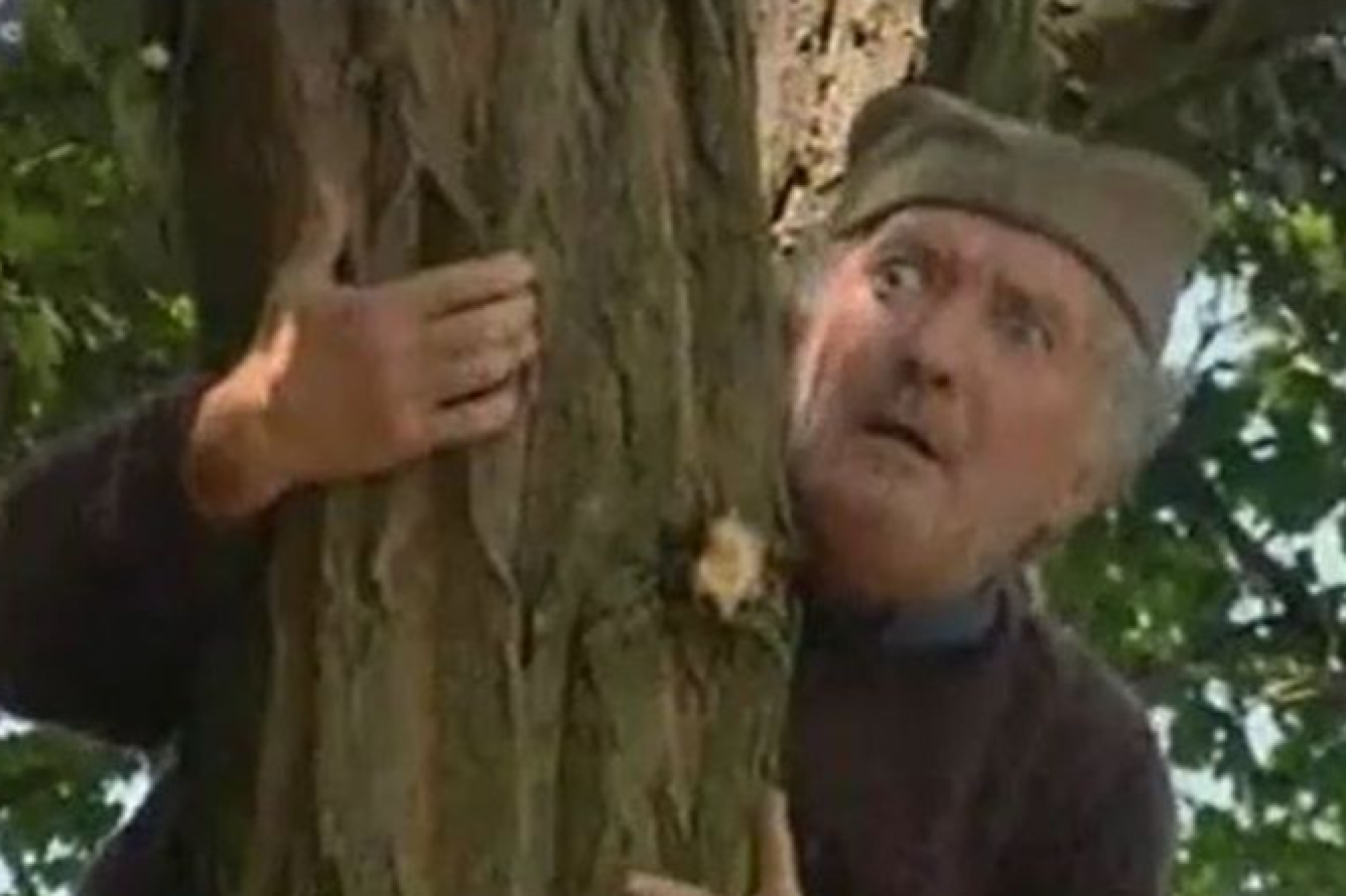 Selo gori a baba se češlja