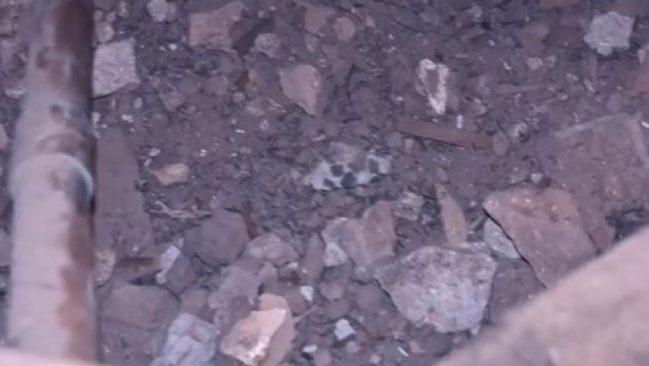 otkriće ispod dasaka