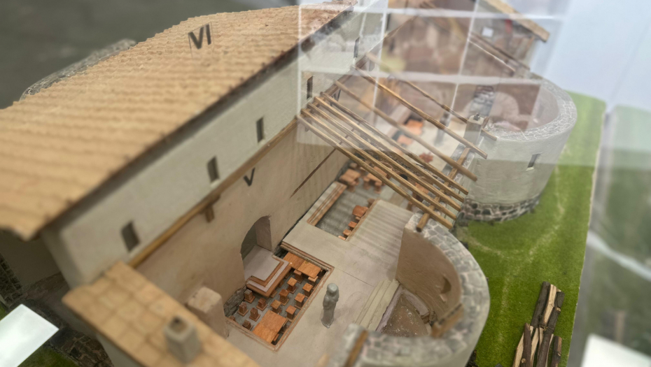 Miša iz Čačka izrađuje makete