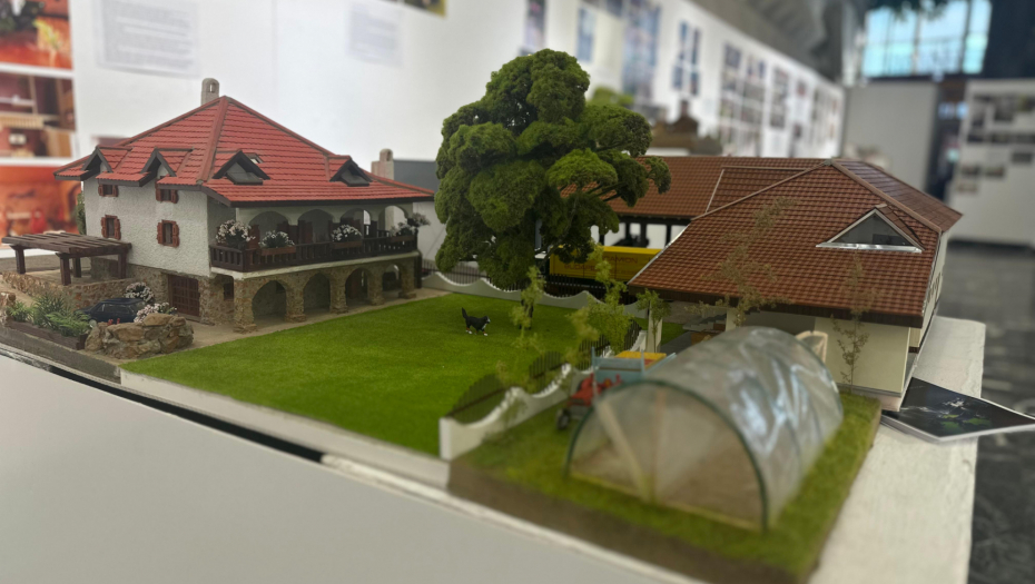 Miša iz Čačka izrađuje makete