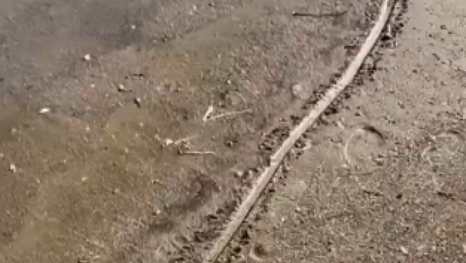 more se povukalo navodno usled zemljotresa