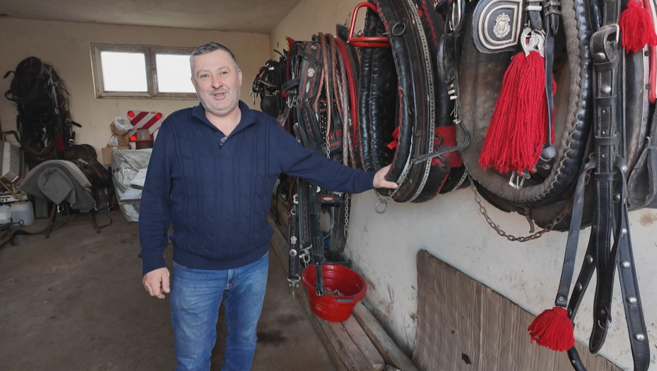 Sima iz Valjeva ima konje šampione