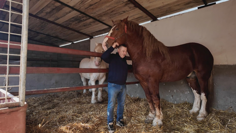 Sima iz Valjeva ima konje šampione