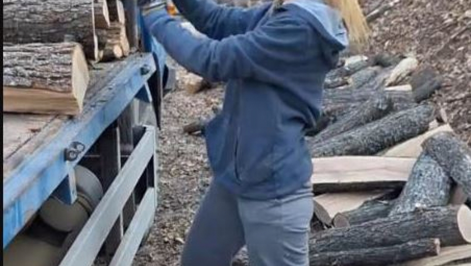 Devojka slaže drva na kamion