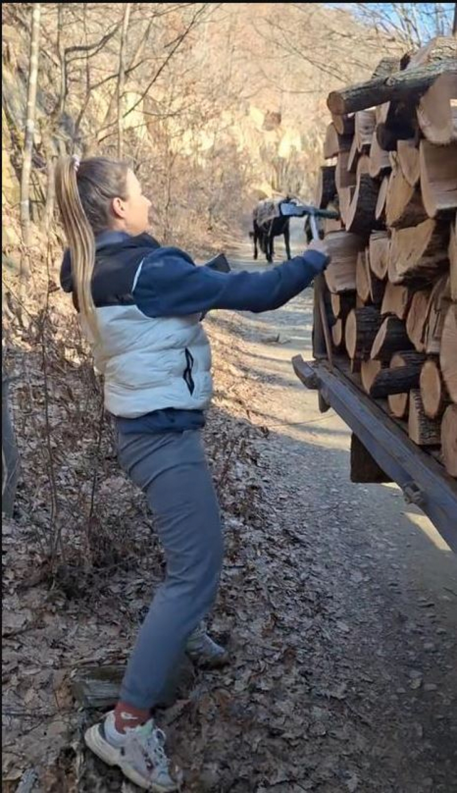 Devojka slaže drva na kamion