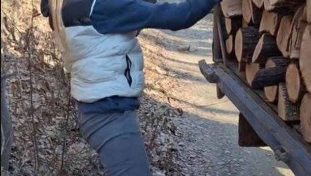 Devojka slaže drva na kamion