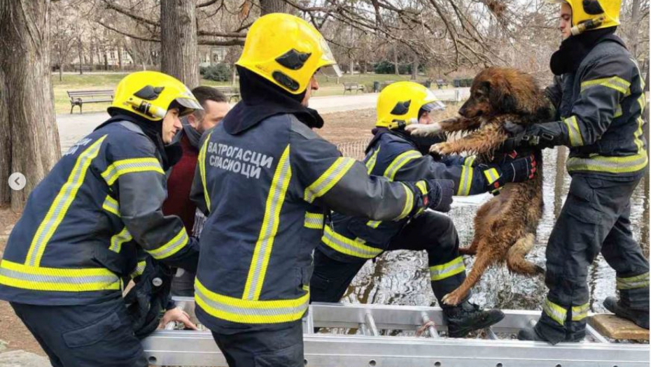 Vatrogasci spasavaju psa