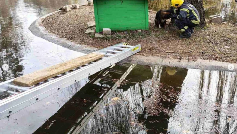 Vatrogasci spasavaju psa