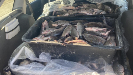 V Srbiji ovadili tri osebe zaradi nezakonitega ribolova