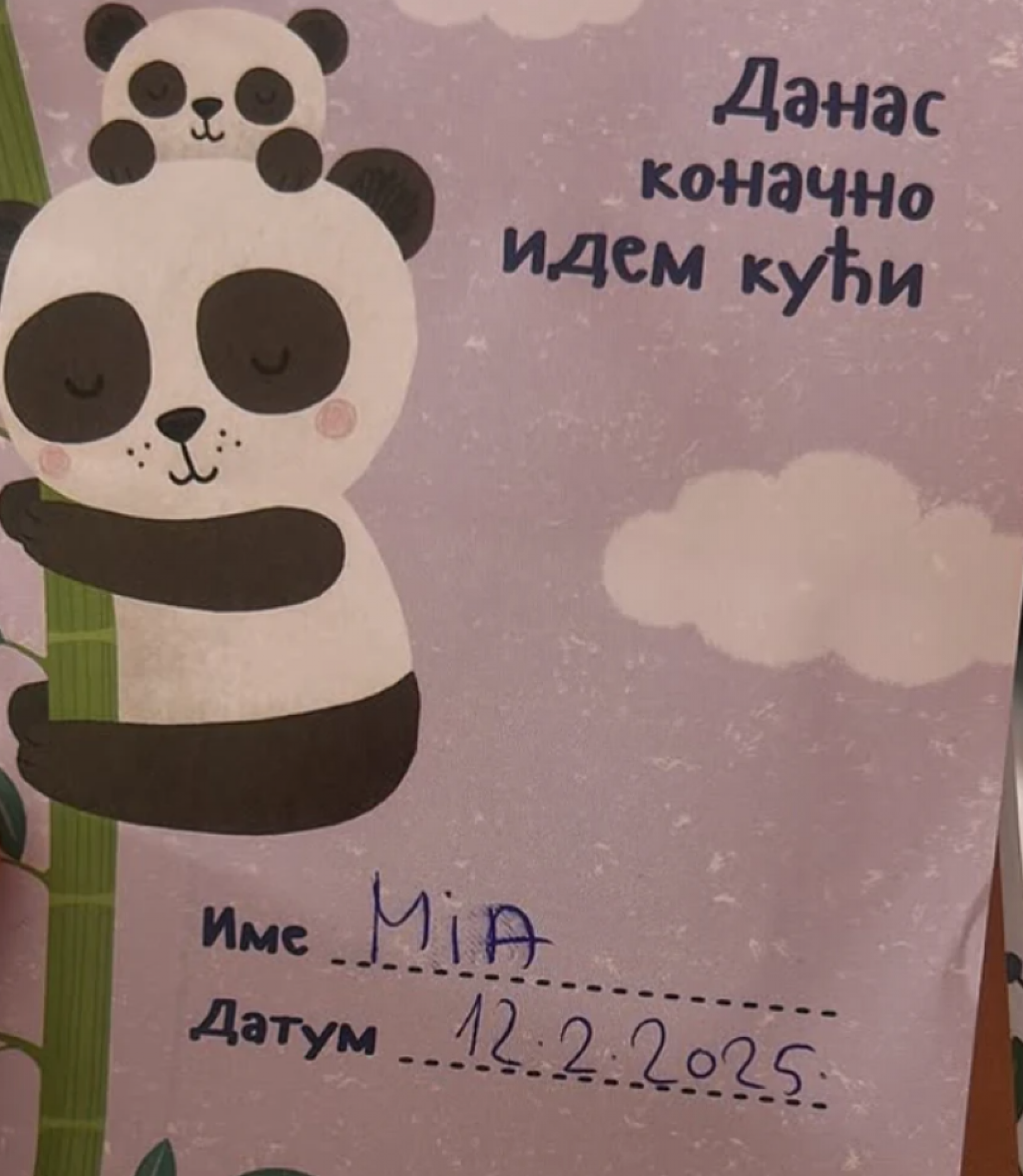 anđelka tomašević